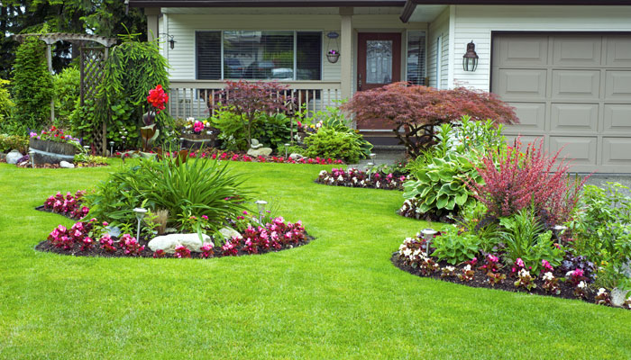 Sebastian Landscaping Services Image